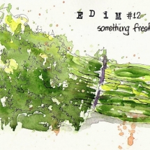 EDiM-12-something-fresh
