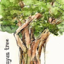 2011-06-24-Banyan-tree