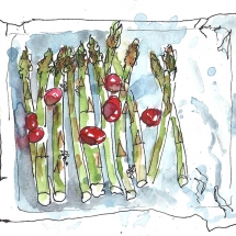 20120603-Asparagus