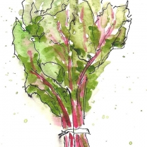 Swiss-chard