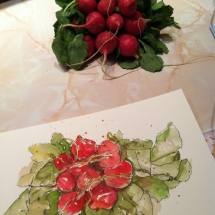 20130212-Radishes