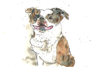 2014 11 Kyles dog sm