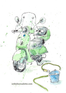 Scoot wash