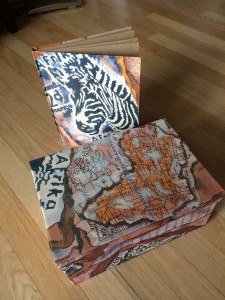 Afrika journal and box