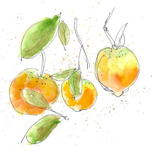 Val d'Argan orange tree