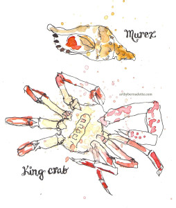 Essaouira fish market