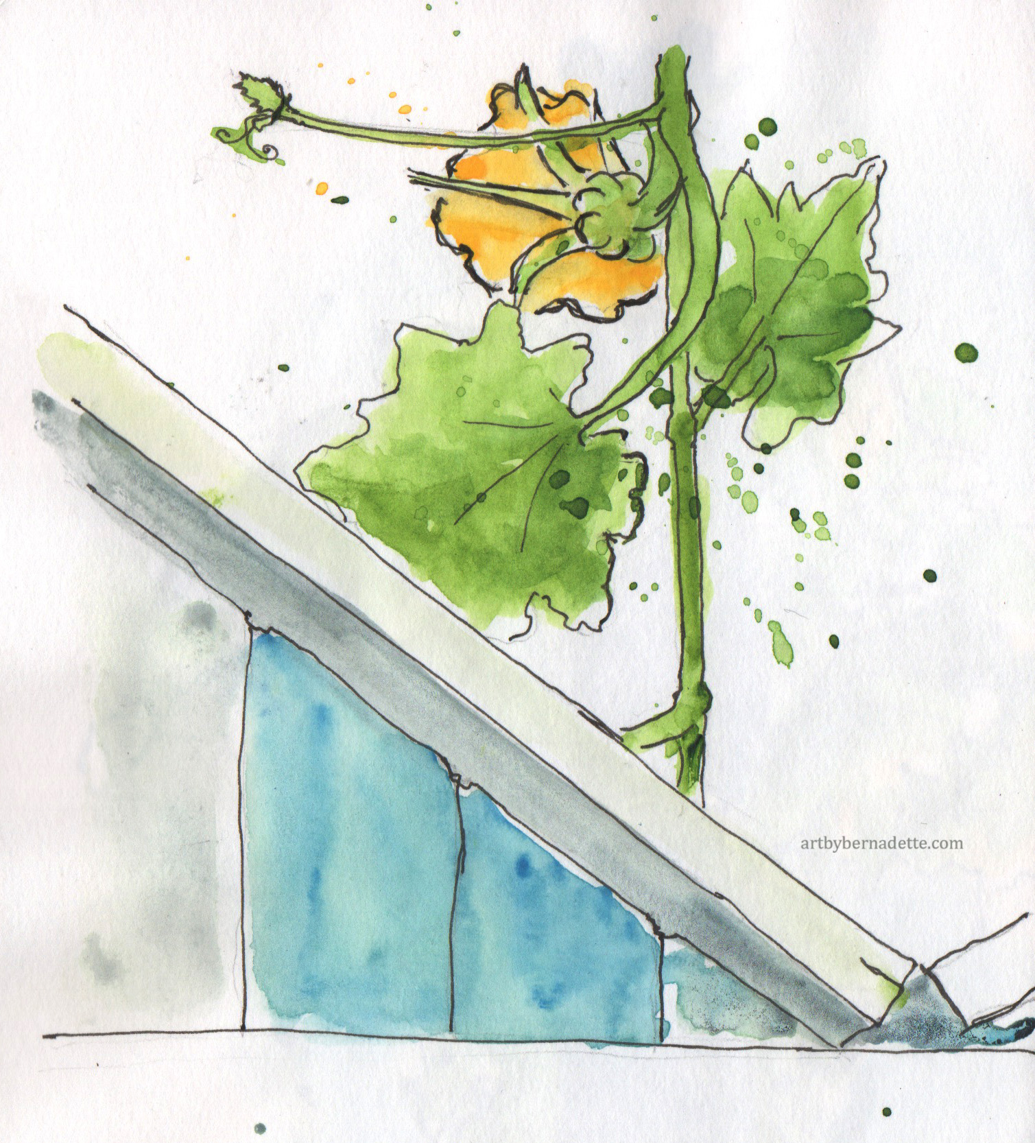 ferdinandos zucchini