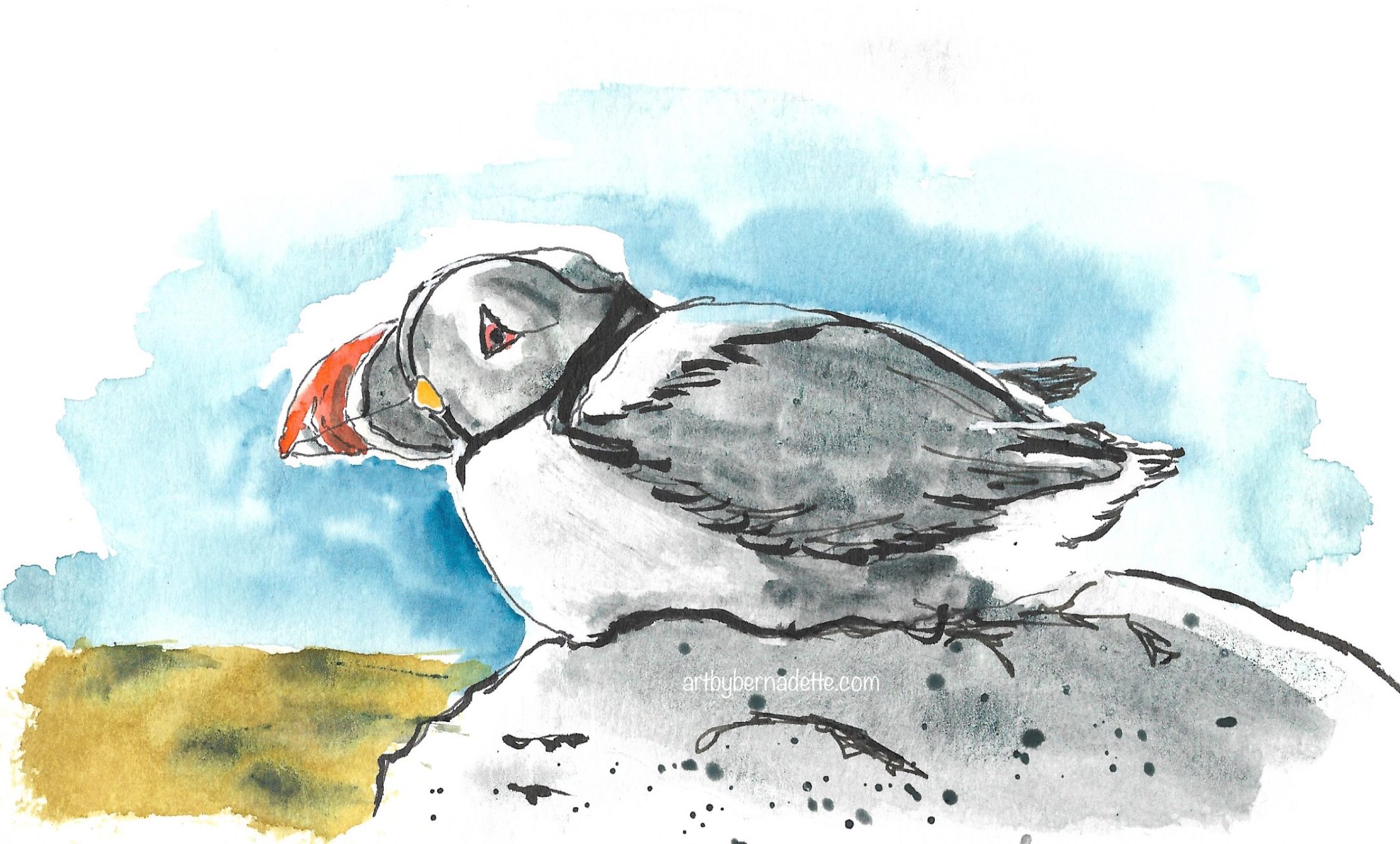 Puffin
