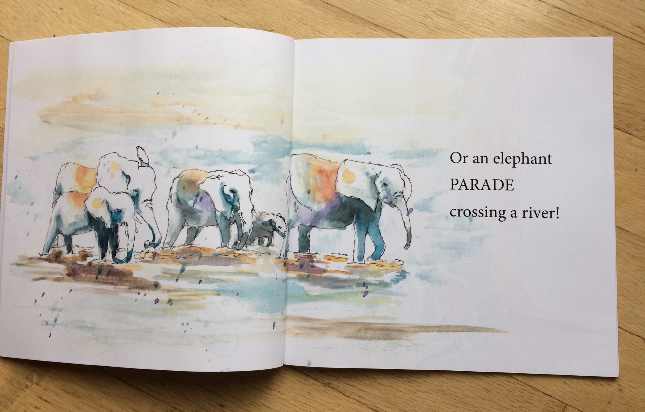 Book If you went on a Safari Sample