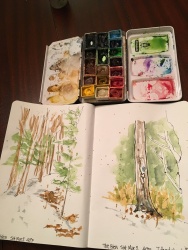 Sketches in the Glen