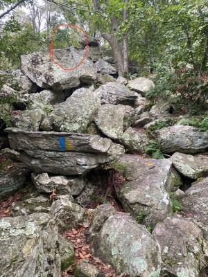 Hawk Mountain Sanctuary hike