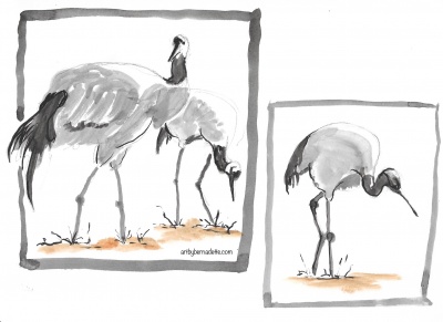 Japan tonal study Cranes