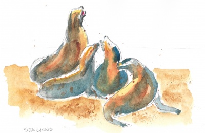 Galápagos sea lions 