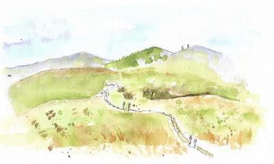 Field near Sam’s Knob