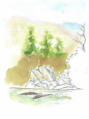 Pisgah Natl Forest scene