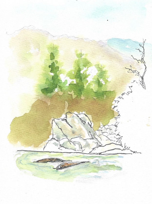 Pisgah Natl Forest scene