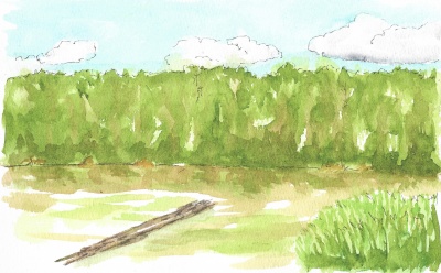 Lily lake at CV St Pk