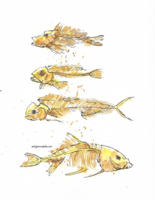 Fish skeletons 