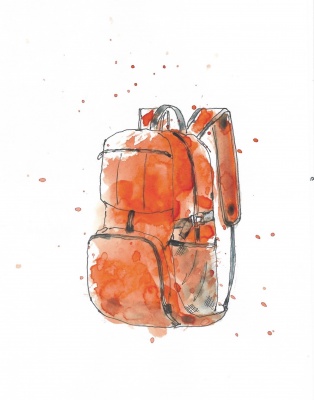 New Outlander day pack