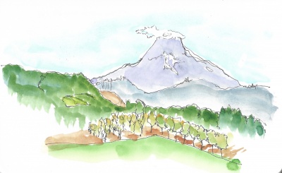 View of Mt. Hood from Mt. Hood winery