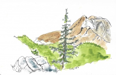 View of Mt. Adams from the trail