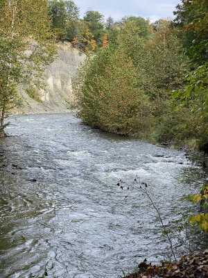 Fall Creek, Ithaca, NY