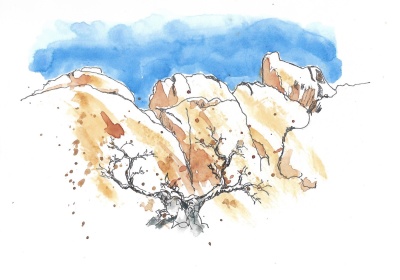 Organ Mountains La Cueva trail