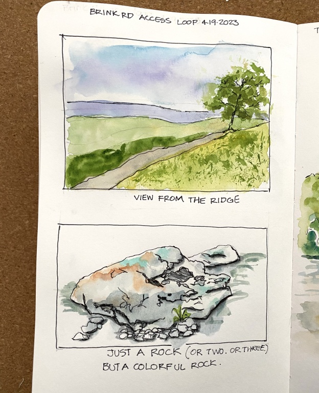 Brink Rd Access loop