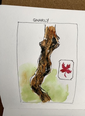 Brink Rd Access loop