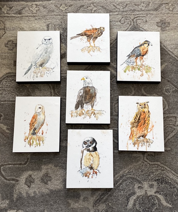 Adding some new items!